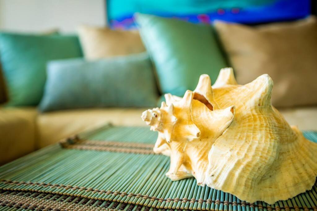 Enchanted Jewel 39 Beachfront Pool لوكويللو المظهر الخارجي الصورة